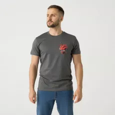 Футболка с принтом «Проблема решена!» (T-shirt (Problem solved!)) | Helikon-Tex