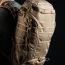 Рюкзак Eberlestock Little Trick Pack Dry Earth